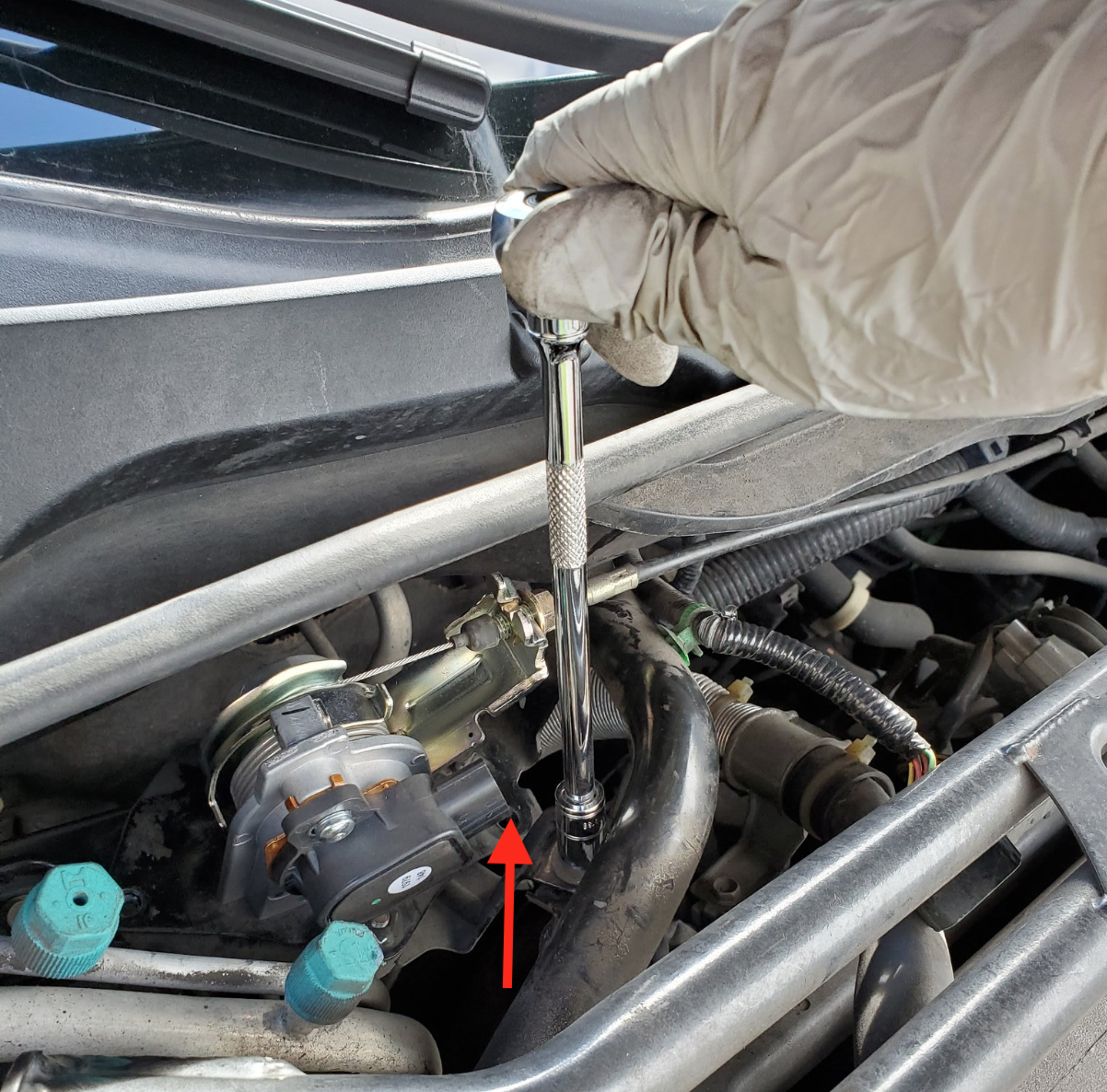 Red arrow is indicating where harness was plugged in.